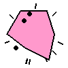Amoeba Image