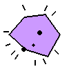 Amoeba Image