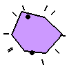 Amoeba Image