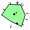 Amoeba Image