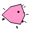 Amoeba Image