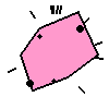 Amoeba Image