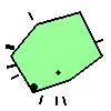 Amoeba Image