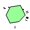 Amoeba Image