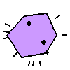 Amoeba Image