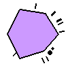 Amoeba Image