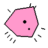 Amoeba Image