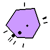 Amoeba Image
