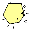 Amoeba Image