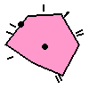 Amoeba Image
