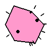 Amoeba Image