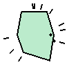 Amoeba Image