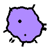 Amoeba Image