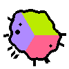 Amoeba Image