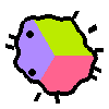 Amoeba Image