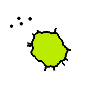 Amoeba Image
