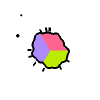 Amoeba Image