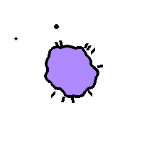 Amoeba Image