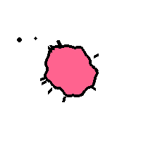 Amoeba Image