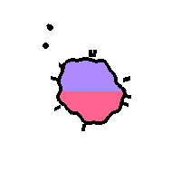Amoeba Image