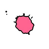Amoeba Image