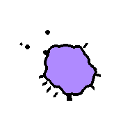Amoeba Image