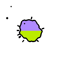 Amoeba Image