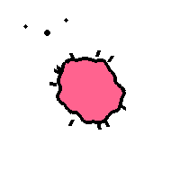 Amoeba Image