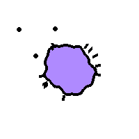 Amoeba Image