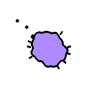 Amoeba Image