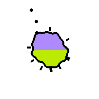 Amoeba Image