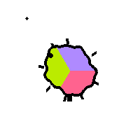 Amoeba Image