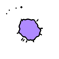 Amoeba Image