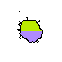 Amoeba Image