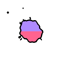 Amoeba Image