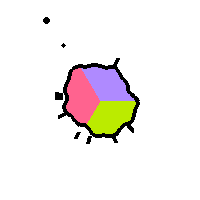 Amoeba Image