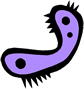 Burploop